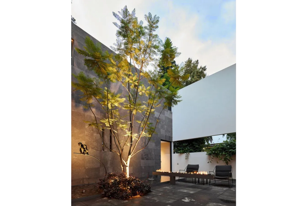 Casa en renta en Centro de Coyoacán Francisco Sosa