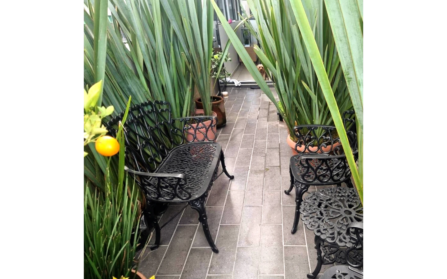 Departamento en venta en Jardines en la Montaña