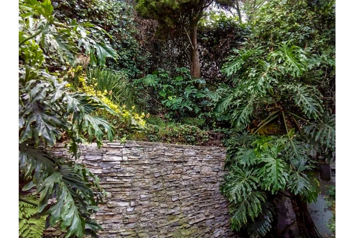 Casa en venta Bosque de Tlalpan