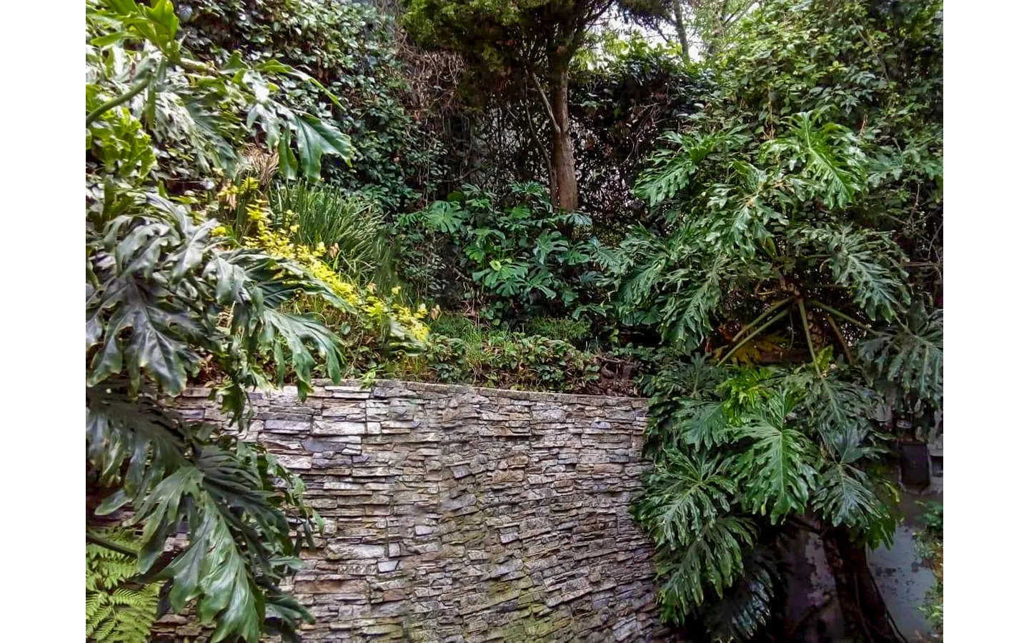 Casa en venta Bosque de Tlalpan