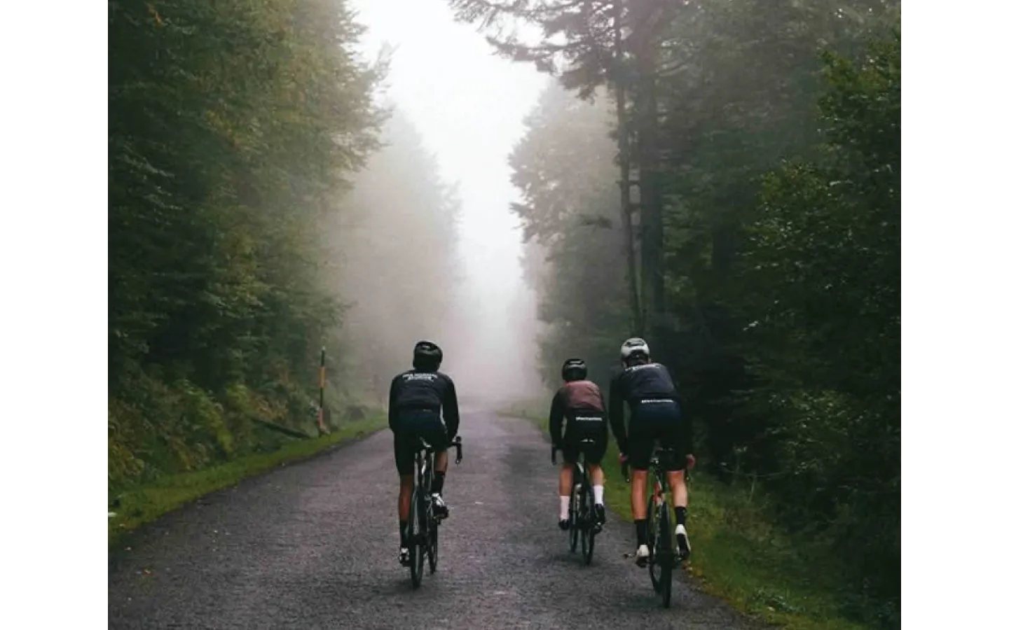 Lofts en venta en Contadero Cuajimalpa Niddum Inmobiliaria