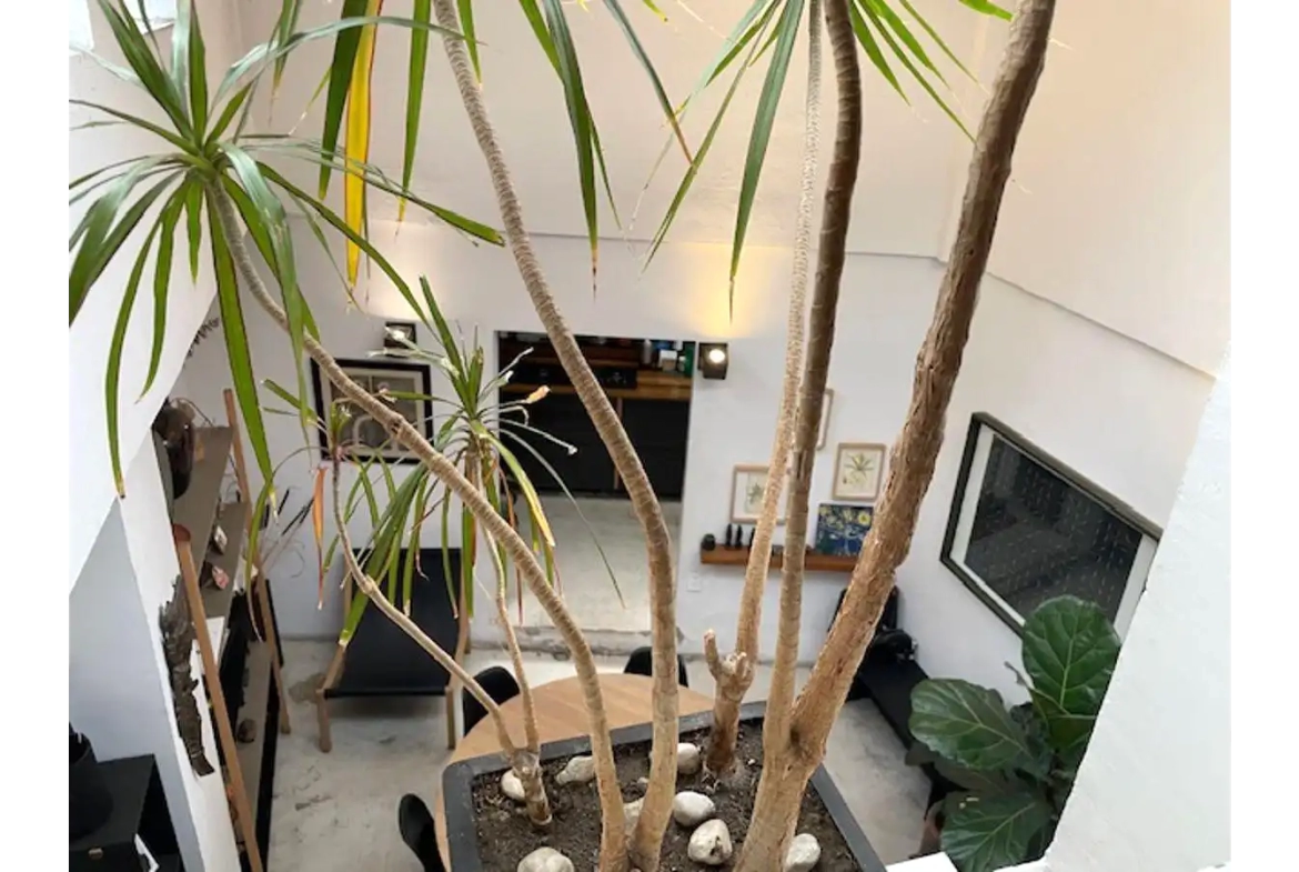 Casa en venta en Coyoacán