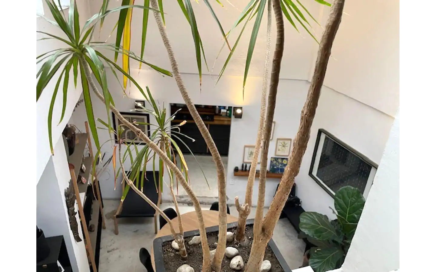 Casa en venta en Coyoacán