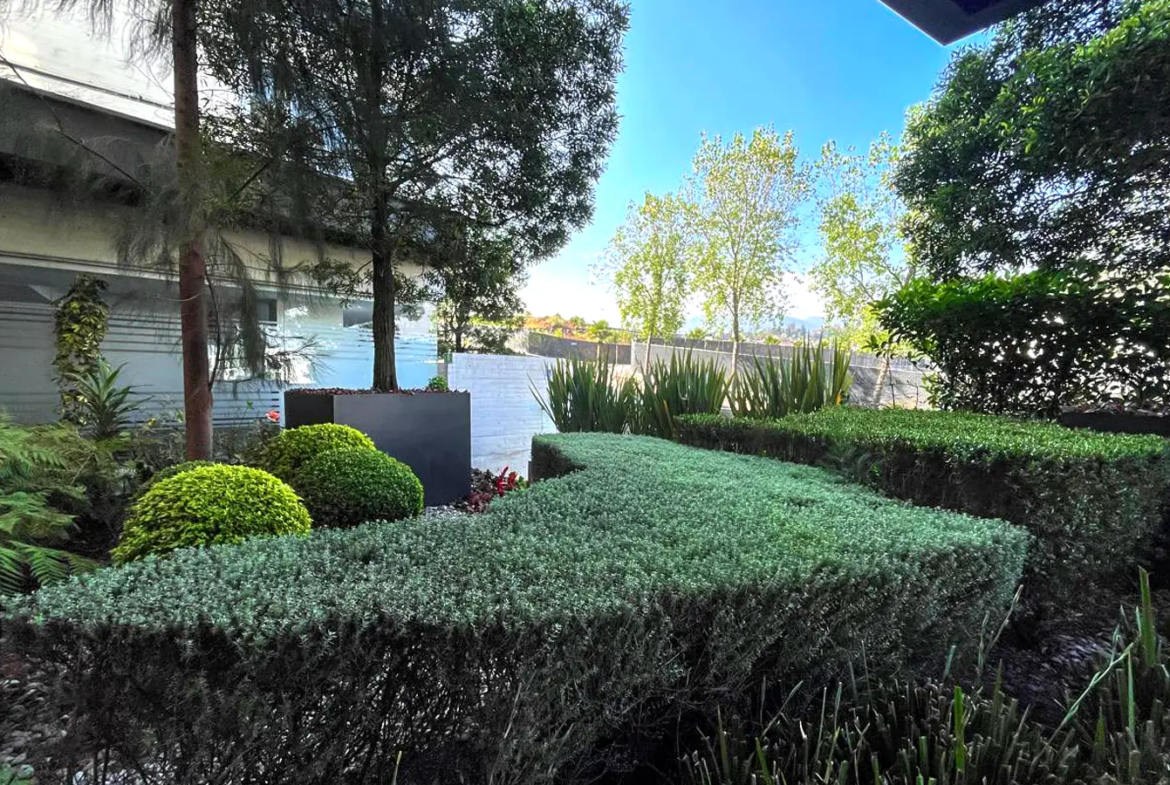 Departamento en venta en Loma del Pedregal Framboyanes