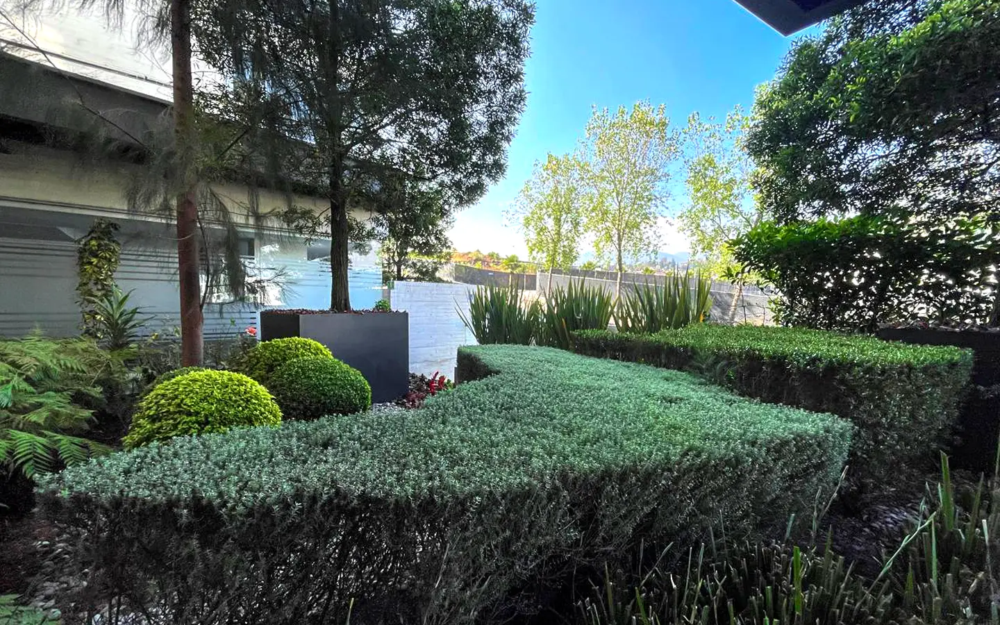 Departamento en venta en Loma del Pedregal Framboyanes
