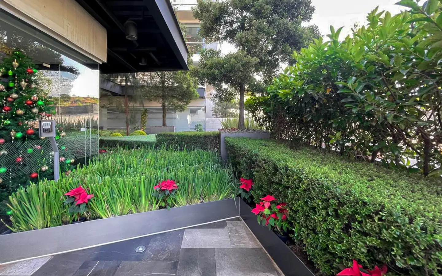 Departamento en venta en Loma del Pedregal Framboyanes