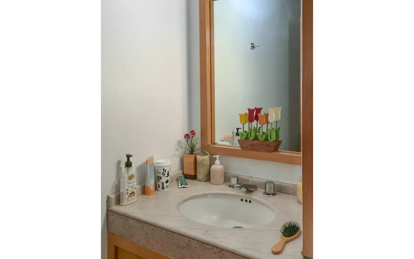 Casa en renta en San Nicolás Totolapan