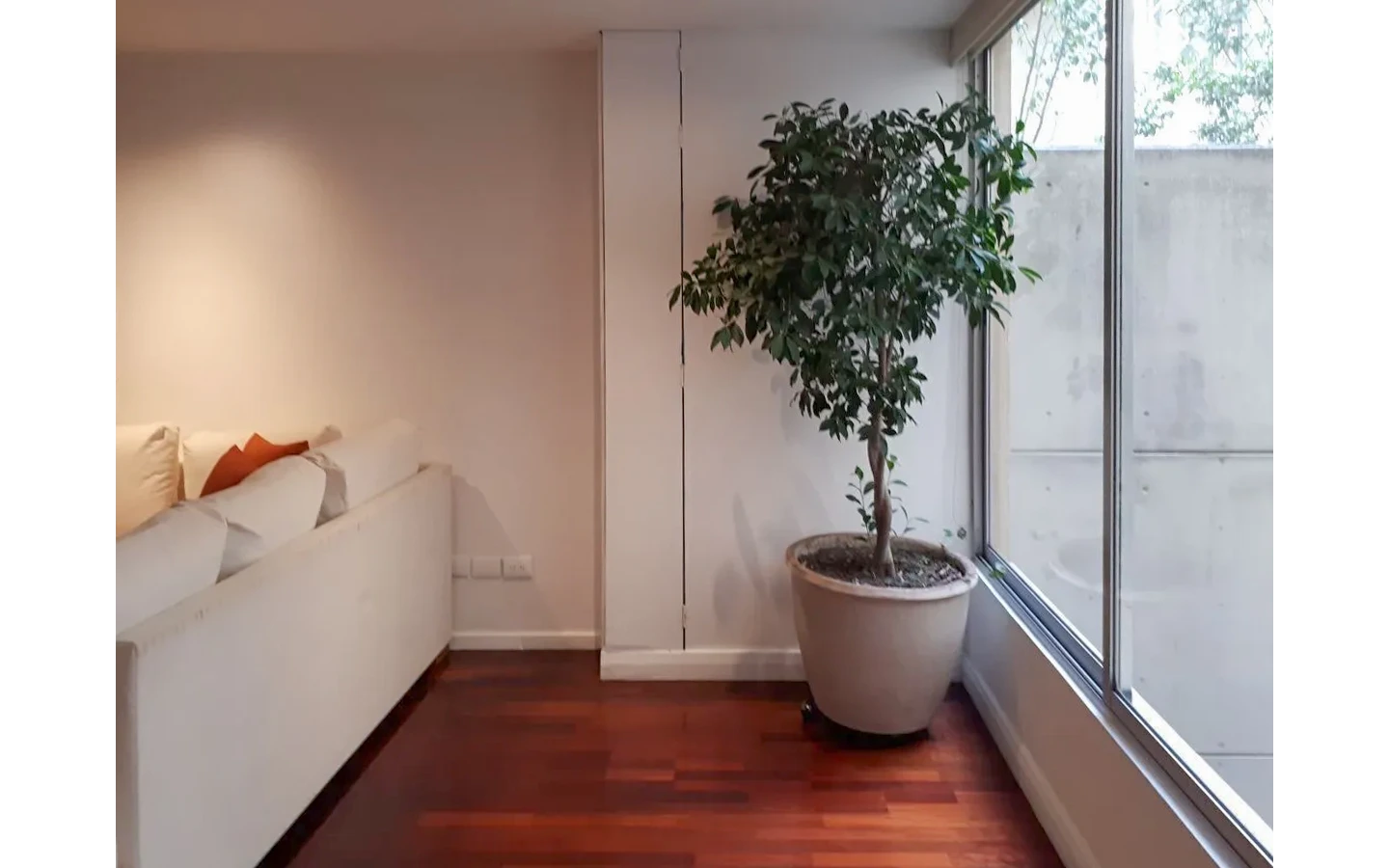 Departamento en renta en Polanco Mazaryk - Niddum Inmobiliaria